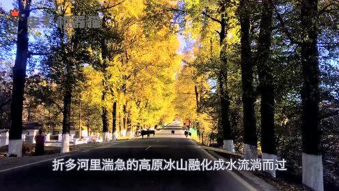 娱乐吃瓜君太阳,揭秘娱乐圈的璀璨明星